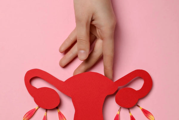 Top 7 Myths About Getting Pregnant — Busted by Science